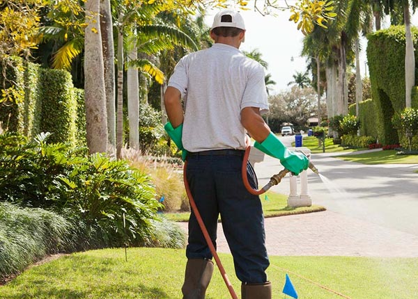 About Kirkville IA Pest Control
